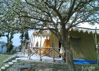 camps at chail
