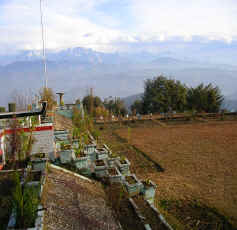 stay at kausani