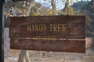 Mango-Tree-Resort-Garh-Mukhteshwar