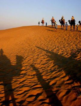 Deluxe-Camps-Camel-Safari-Jaisalmer2