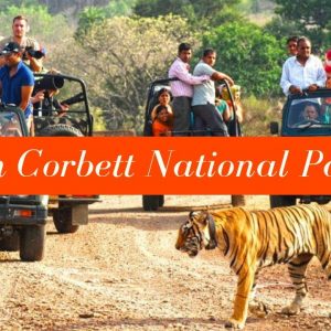 corbett national park